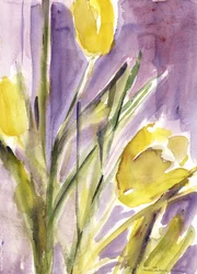Tulipán, 1987