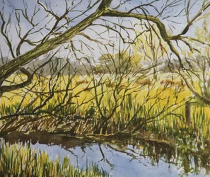 Water Meadows, Kintbury, május eleji délután