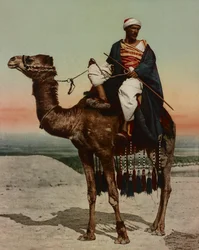 Egy beduin, Kairó, Egyiptom