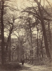 Erdei jelenet, c. 1865.