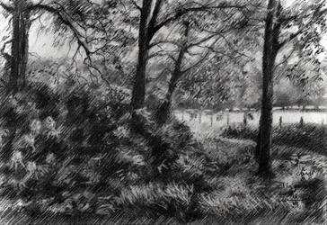 A békés Forest Lake