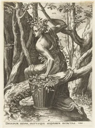 Dryas (cím a tárgyon) Istennők és nimfák (sorozat címe)