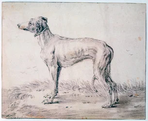 Agár, 1644