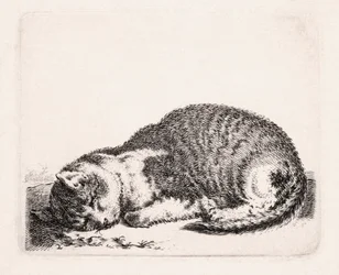 Alvó macska, 1607-81 körül