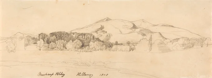 Muckross Abbey, Killarney
