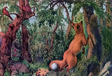 A zavart róka, 1872.