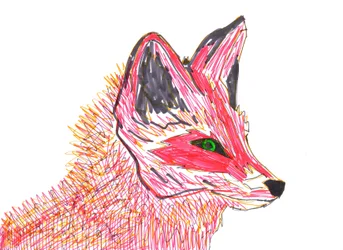 Róka (filctoll papírra)