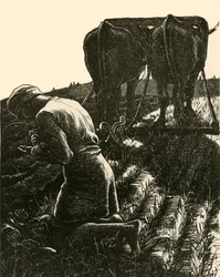 A rejtett kincs, 1864, 1928.