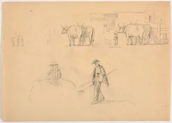 Rajz, Barnyard; figurák és ökrök, 1878