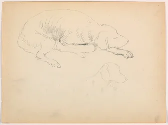 Rajz, Milo (egy mutatós kutya), Két tanulmány, 1862 körül.