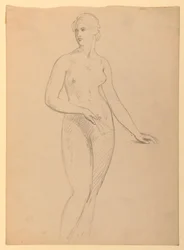 Rajz, Henry Schieffelin asszony, S, 1881