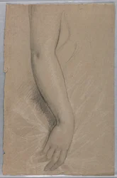 Rajz, Mrs. Rutherford B Hayes, 1880