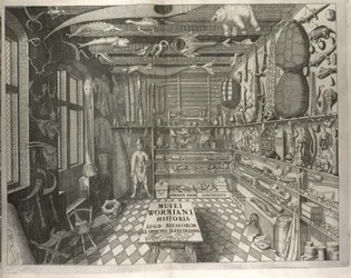 "Musei Wormiani Historia" előlapja a "Museum Wormianum"-ból, Ole Worm