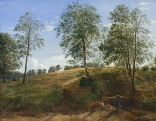 A Caroline-forrás Næsbyben, Funenben