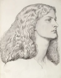 Annie Miller (toll és tinta)