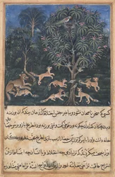 Oldal a Papagáj meséiből Tuti-nama: Ötödik éjszaka: A papagáj anyja figyelmeztet..., c. 1560.
