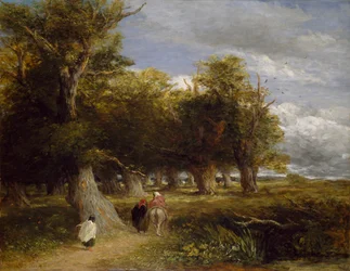 Az erdő szoknyái, 1855