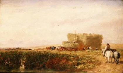 A Hayfield