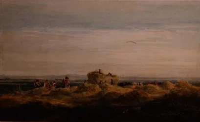 A Hayfield