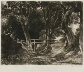 Egy Dell, Helmingham Park, Suffolk