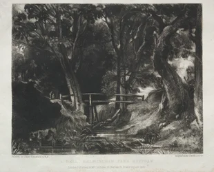 Különféle tájtárgyak, jellemző angol tájképek John Constable, R. A. által festett képekből: Dell a Helmingham Park erdőjében, Suffolk