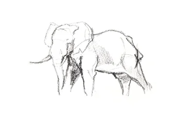 Bull Elephant, 2021 (kréta papíron)