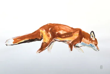 Red Fox, 2020 (akvarell és zsírkréta)