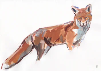 Red Fox, 2021 (gouache és akvarell/kréta papíron)