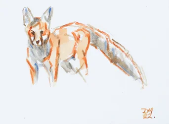 Red Fox, 2022 (olaj, vászon)