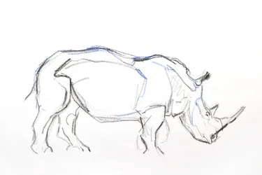 Fehér Rhino, 2021 (papírkréta és akvarell)