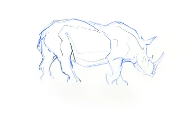 Fehér orrszarvú, 2020 (kréta papíron)