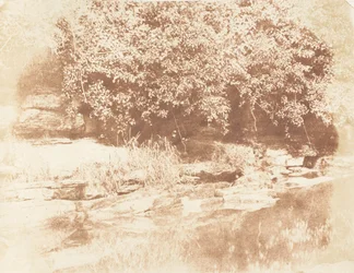 Burnside, Fife-sziget a Mandula folyóban, 1843-47. Alkotók: David Octavius Hill, Robert Adamson, Hill & Adamson.