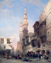 Metawalea kapuja, 1843