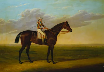 Richard Watt Bay Racehorse „Rockingham”-je Sam Darlinggal egy versenypályán