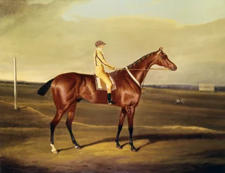 A Hon. Robert Grosvenors Tawpy