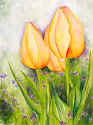 Sárga tulipán, 2006 (akvarell)