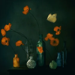 Moody Poppies Pillangó