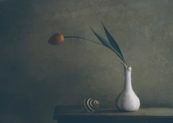 Hangulatos tulipáncsendélet