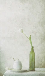 Fehér tulipános csendélet