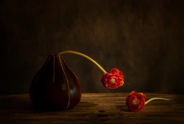 Moody ranunculus csendélet