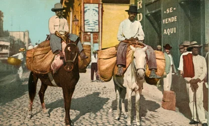 Vegetable Men, Havanna, Kuba, 1904.