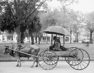 Bovinmobile Savannah-ban, Georgia államban