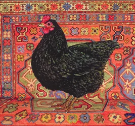 Fekete szőnyegcsirke, 1995