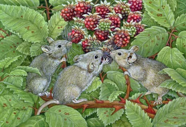 Blackberrying, 1996 (akril a panelen)