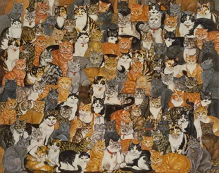 Dupla Cat-Spread