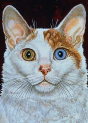 Minette, 1996 (akril a panelen)