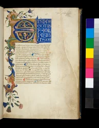 Ms 373. Pseudo-Cicero, Rhetorica ad Herennium és egyéb művek, f.1r. Megvilágított kezdő [E] és részleges szegély akantuszlevél- és virágdíszítéssel, a szöveg első sora fehér nagybetűkkel kék alapon, 1337 körül (pergamen)