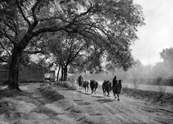 Tevékaraván, Peking