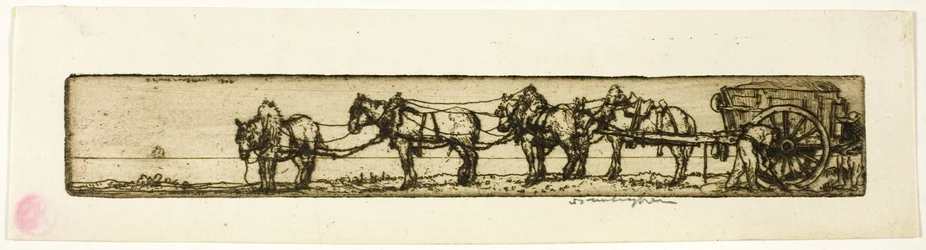 Draft Horses
