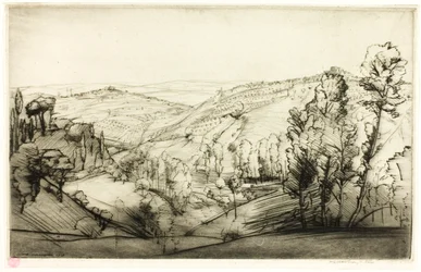 San Gimignano mezői